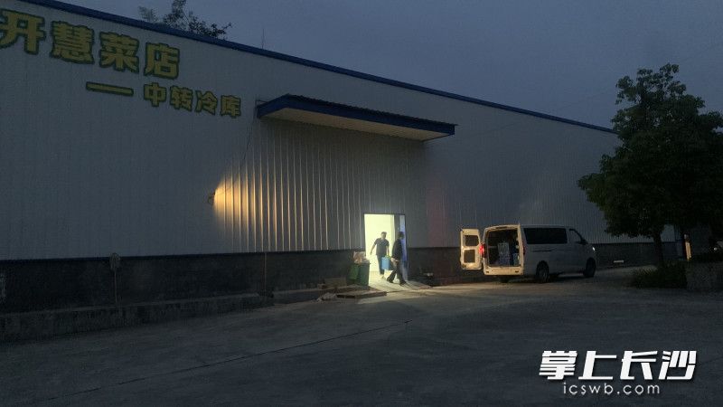 开慧村中转冷库，村干部将菜品装车。均为星沙时报记者张庆 摄