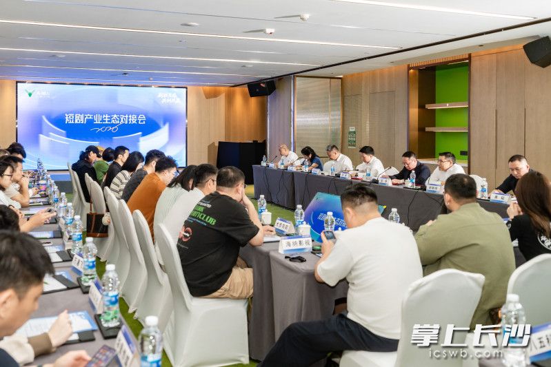 对接会现场。