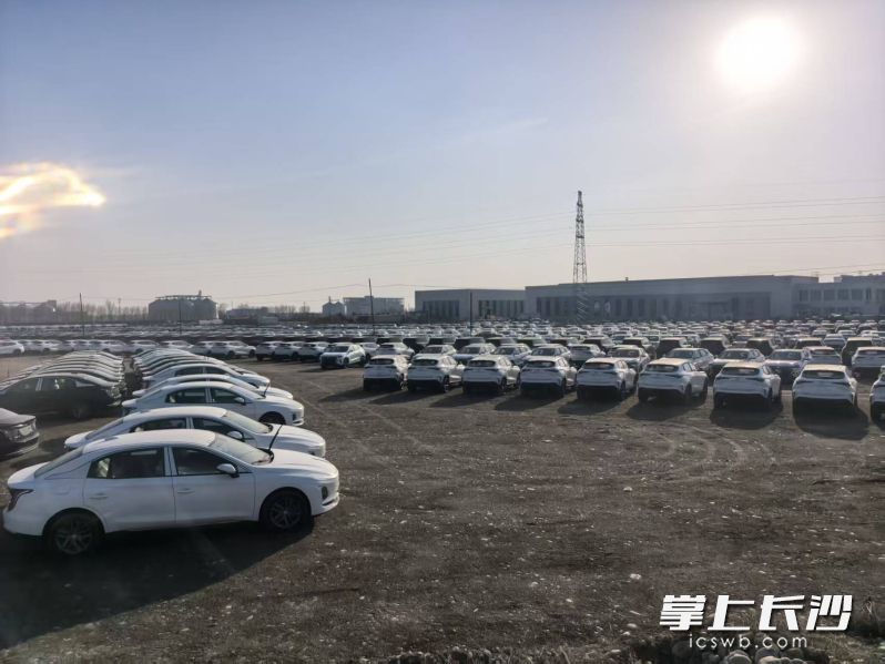新疆霍尔果斯口岸等待通关的车辆。