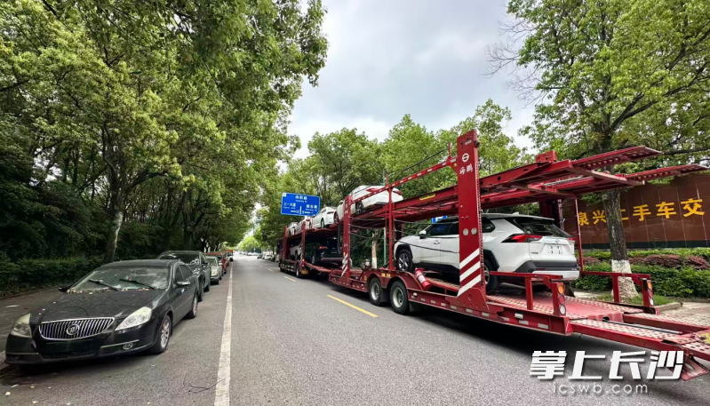 准备出海的二手车正在中南汽车世界陆续装车。