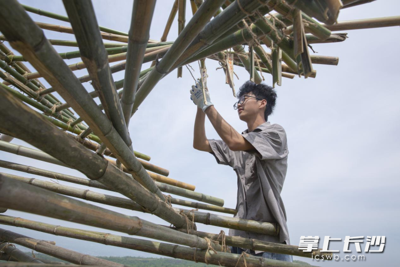 来自长沙理工大学的学子，正在全神贯注地搭建竹构作品。