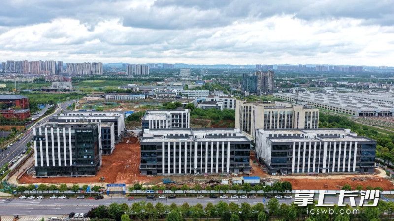 梨江—㮾梨片区工业厂房（61亩）项目建设。长沙晚报通讯员 艾哲文供图