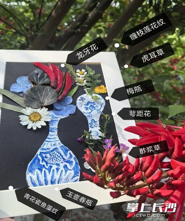瓷韵花语国际博物馆日专场活动面向17岁以上市民。