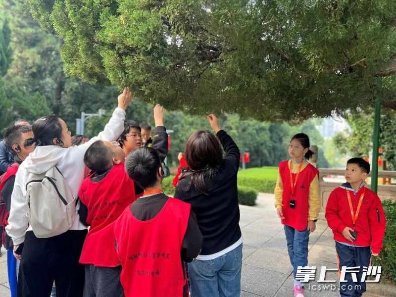 馆园融合特色主题活动明日上线。 均为公园供图