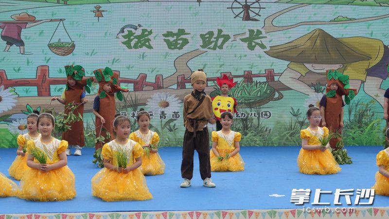 青苗荟咏江苑幼儿园的孩子们表演《拔苗助长》。
