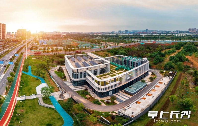大泽湖·海归小镇能源B站首个供冷季正式启动。均为全媒体记者 陈飞摄