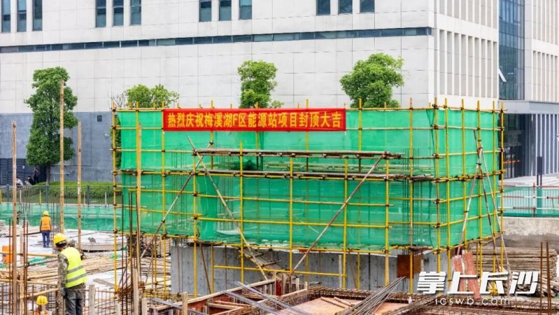 梅溪湖国际新城F区能源站地下室顶板浇筑工作顺利收官，项目主体结构实现封顶。 均为长沙晚报通讯员胡翔供图