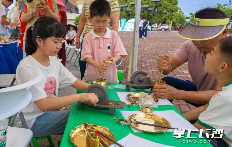 孩子们参加辨识中草药活动。