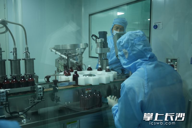 工作人员在生产线上操作。长沙晚报全媒体记者 林暘 摄