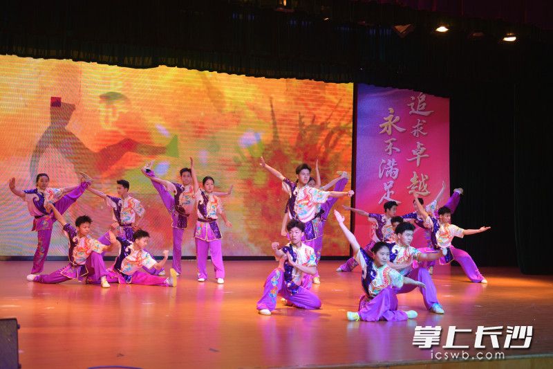 武术表演赢得满堂喝彩。