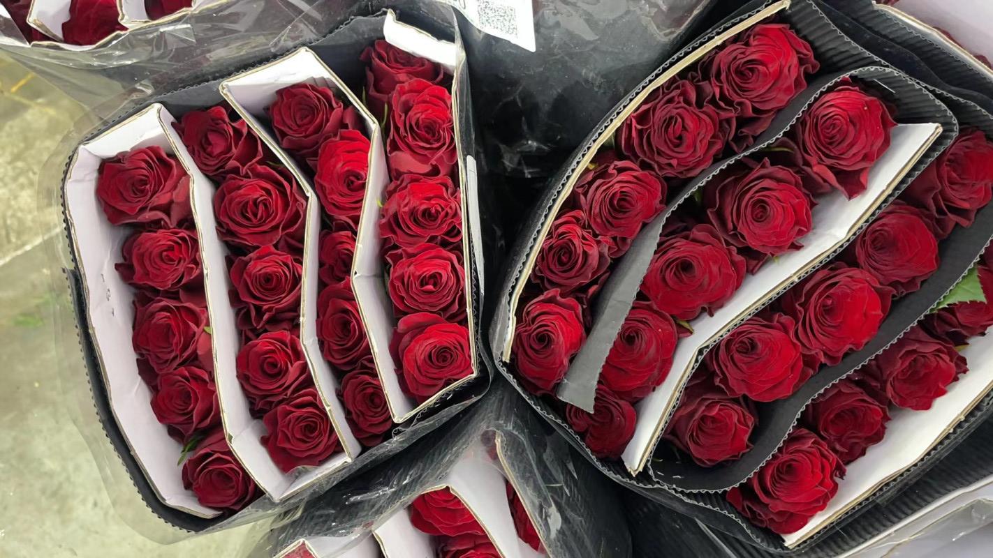 据赵先生介绍，虽然现在市场上鲜花品种多样，但每逢情人节，最受欢迎的还是玫瑰。