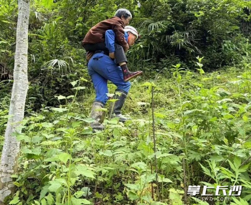 蓝天救援队队员背负高龄老人转移。 　