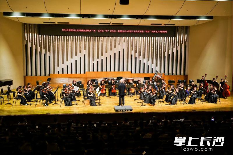 图为学校青枫艺术团在湖南省文化馆音乐厅表演。均为长沙晚报记者 张炎炎 通讯员 戴春兰 摄影报道