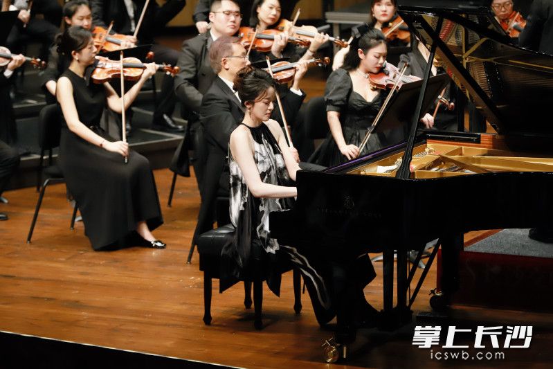 专注演奏。均为长沙晚报通讯员 向靓供图 专注演奏。均为长沙晚报通讯员 向靓供图