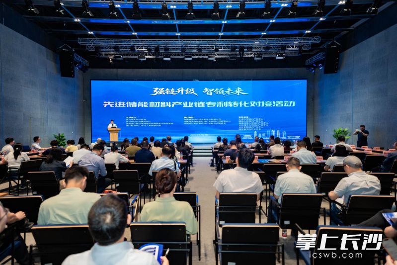 活动现场。均为主办方供图