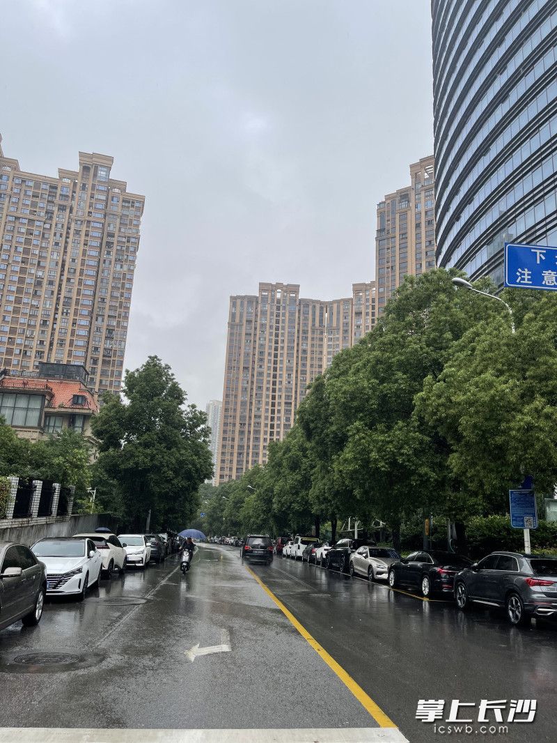 雨后的长沙十分清新干净。