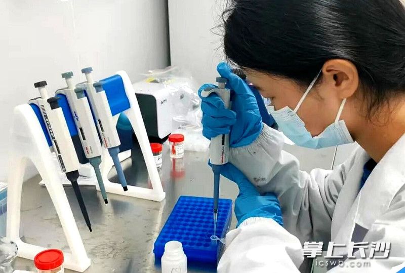 全方位、沉浸式的专业实践。