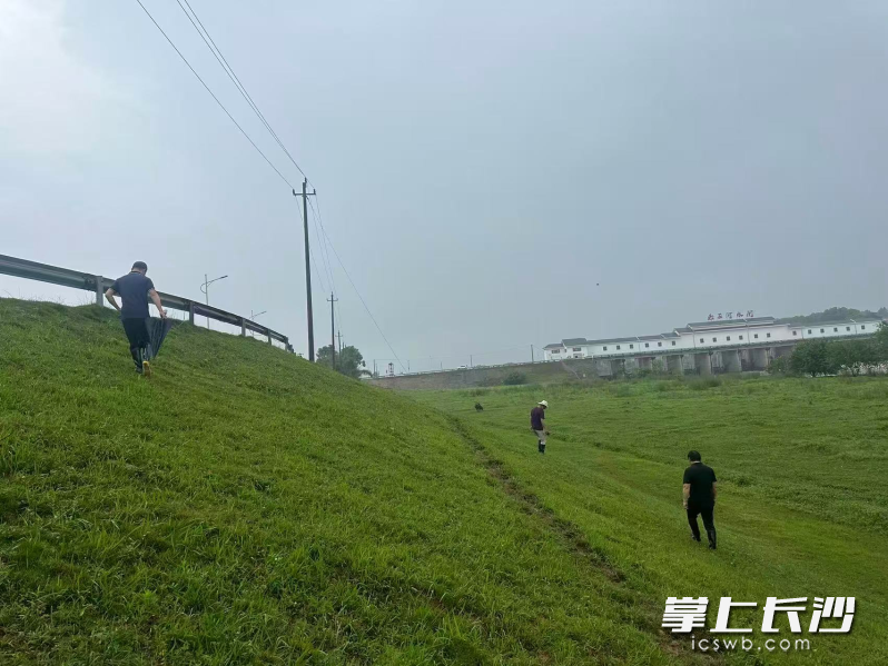 水利系统工作人员在长沙县赤石河水闸管理所巡堤察险。