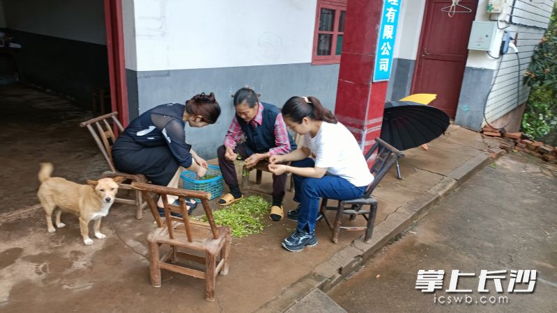 社区工作人员边陪黄娭毑择菜,边耐心劝导她去儿子家暂住,以防发生危险。 均为通讯员供图 社区工作人员边陪黄娭毑择菜,边耐心劝导她去儿子家暂住,以防发生危险。 均为通讯员供图