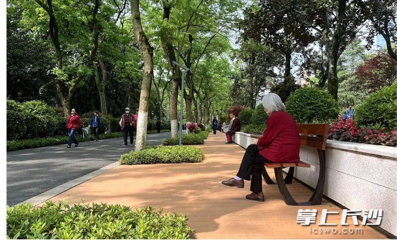 初心路沿道铺新增了多款休闲坐凳。