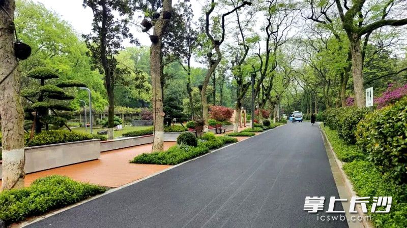初心路改造后。