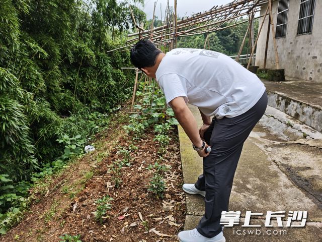 工作人员正在进行巡查。