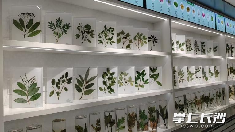 长沙市林业自然资源专业科普场馆