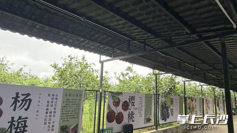 长沙市生态农业专业科普场馆