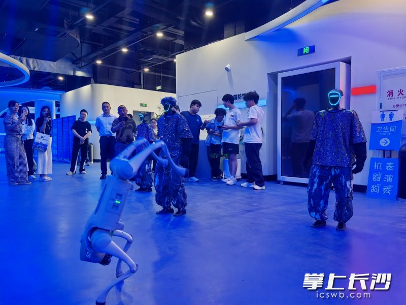 智能机器人与机器狗灵活展演，吸引了观众的眼光。 均为长沙晚报全媒体记者张禹摄