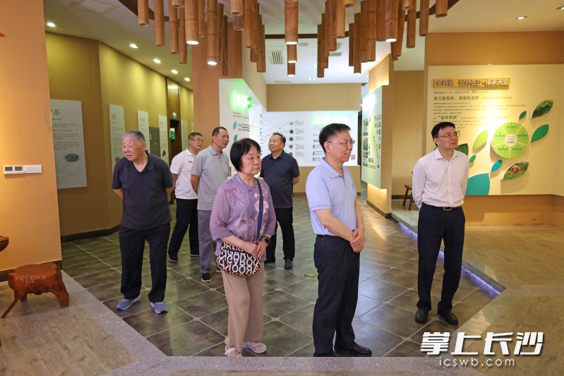 5月28日，市政协机关组织市级离退休老同志前往长沙县开展专题调研，来到金井茶文化交流展示中心。 均为长沙晚报全媒体记者盛磊摄