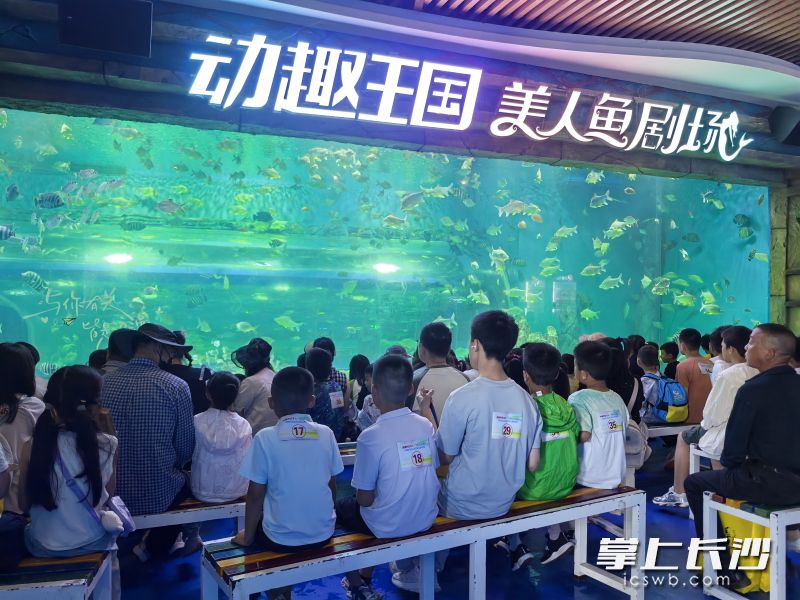 看奇趣海洋动物。