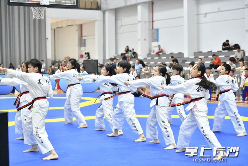 比赛共吸引28支队伍、650名青少年运动员同台竞技。