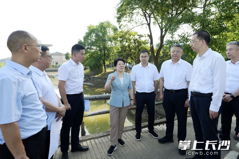 湖南湘江新区白箬铺镇淑一村八曲河杨西桥段督导现场。 均为长沙晚报全媒体记者 郭雨滴 摄