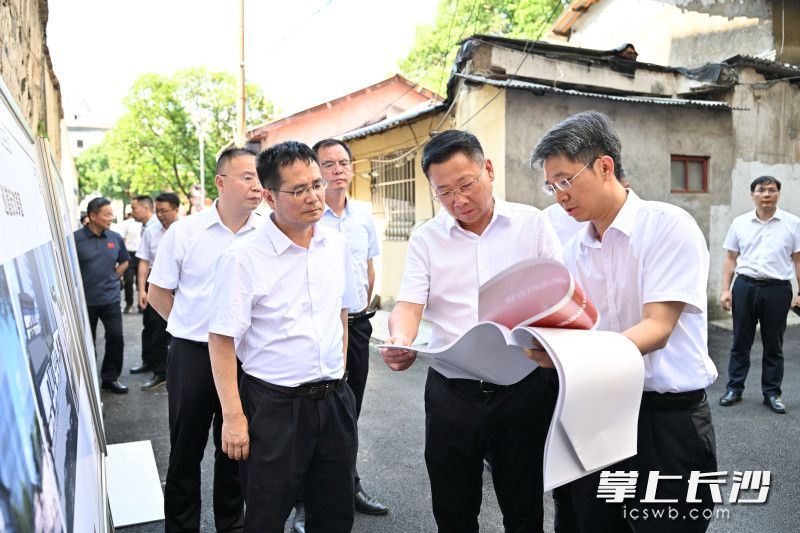 陈博彰调研城市更新工作。