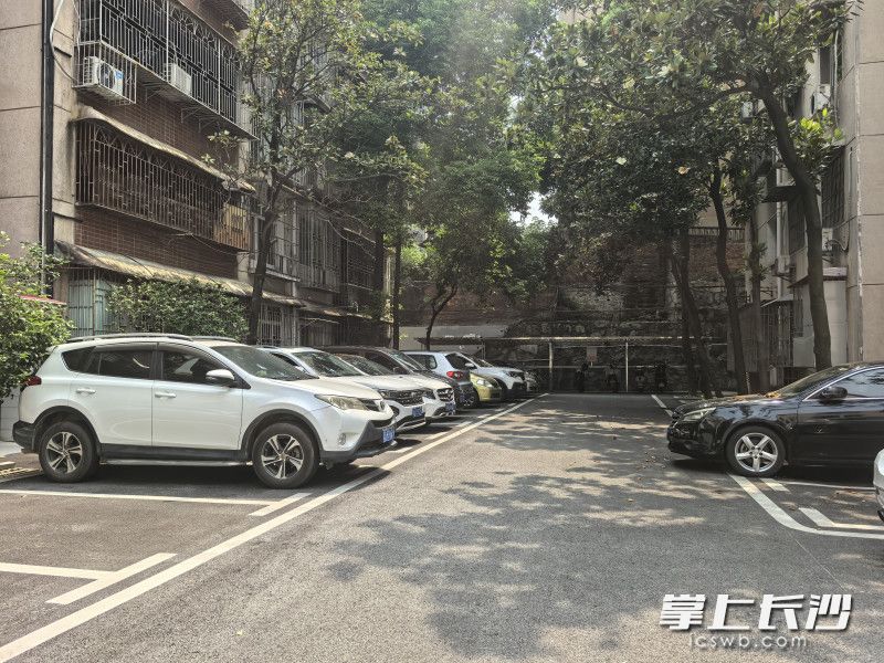 停车管理有序。
