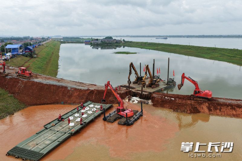 6月4日上午，湖南省2026年堤防抢险封堵应急演练在长沙市望城区茶亭镇苏蓼垸举行。 均为长沙晚报全媒体记者邹麟摄
