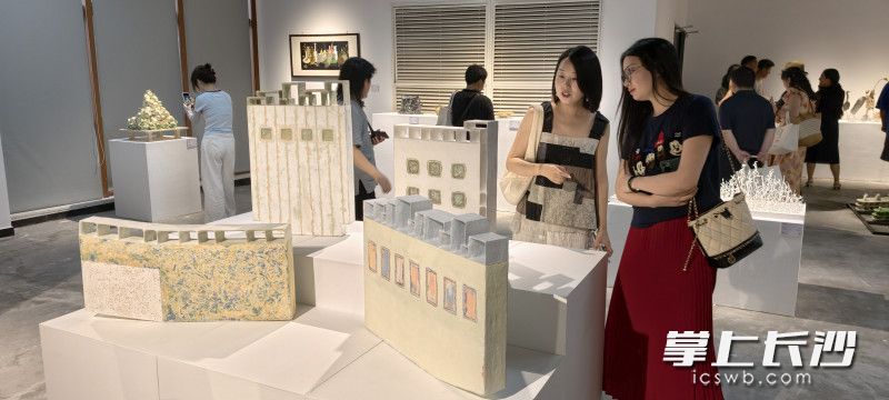 品赏作品。均为长沙晚报全媒体记者 肖舞摄 品赏作品。均为长沙晚报全媒体记者 肖舞摄