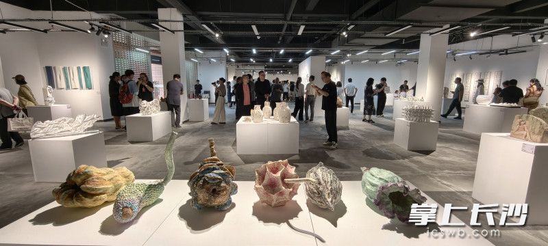 展厅一隅。 展厅一隅。