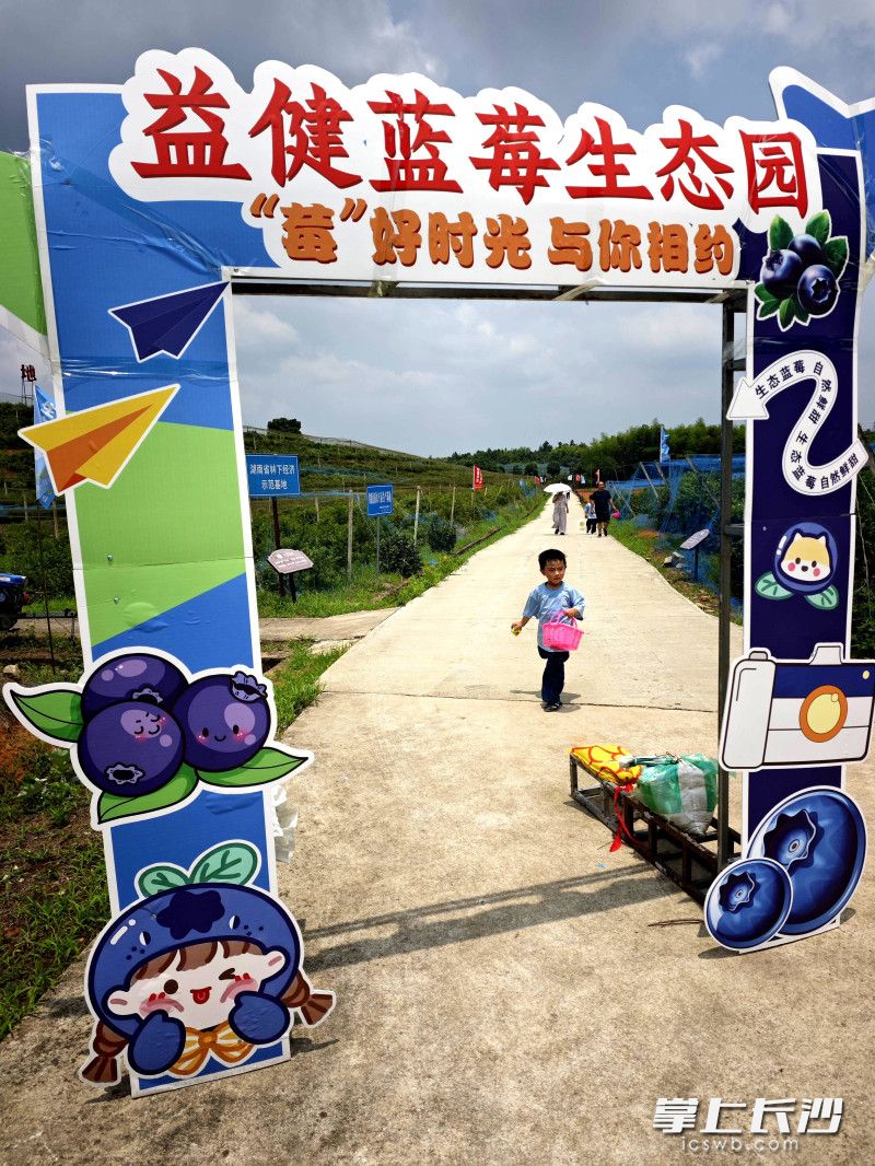 设置打卡点，等游客来打卡。