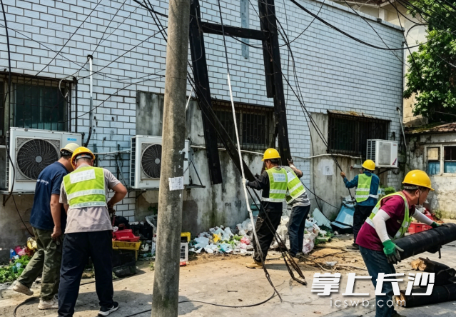 工作人员正在进行高危废弃木电杆拆除作业。均为长沙晚报通讯员 供图