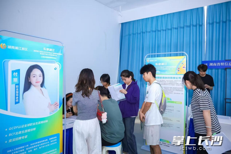 就业指导导师付丽的桌前始终排着队。