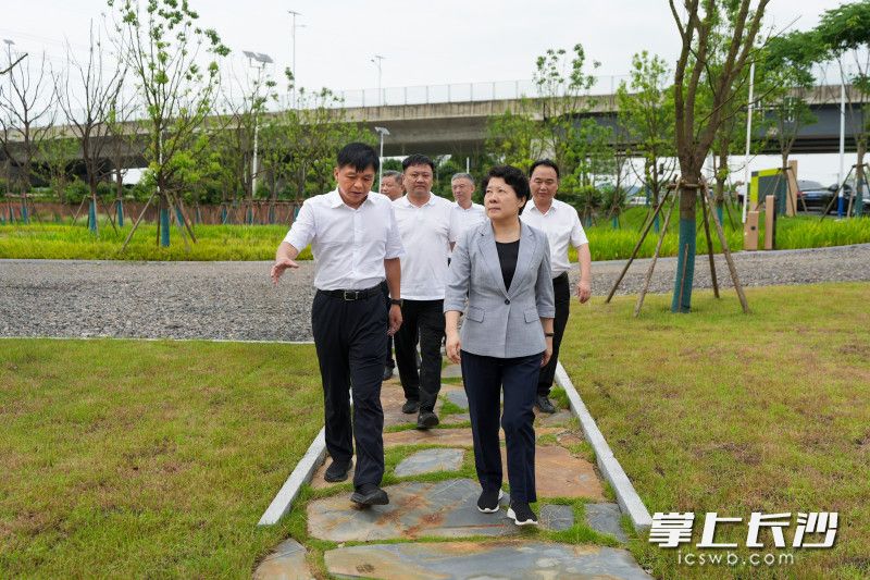 吴桂英来到位于雨花区跳马镇的长株潭生态绿心“一厅一道”项目建设现场。 吴桂英来到位于雨花区跳马镇的长株潭生态绿心“一厅一道”项目建设现场。