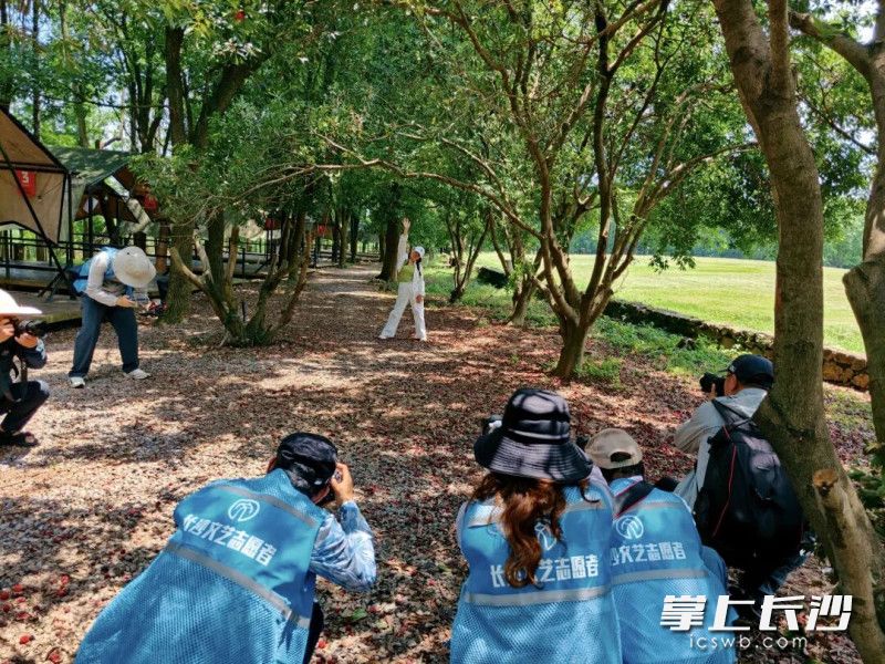 艺术家采风创作现场。均为长沙晚报通讯员 刘柯摄