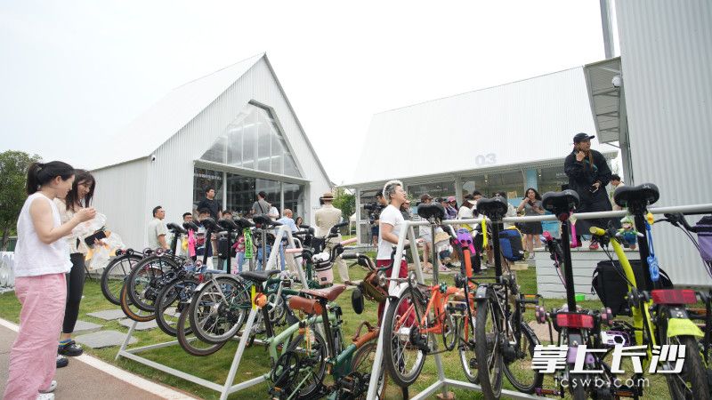 数十辆小布折叠车组成首发车队，沿圭塘河绿道完成巡游，成为河岸一道流动的风景。