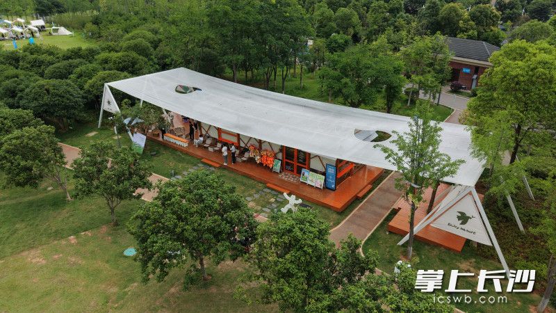 6号盒子的“上山去野（青年茶事）”主打闲适。