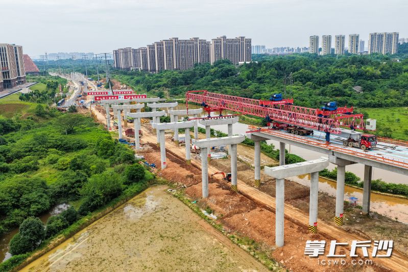 茶绕高速公路中青路1号桥项目，正有序推进预制箱梁架设施工。