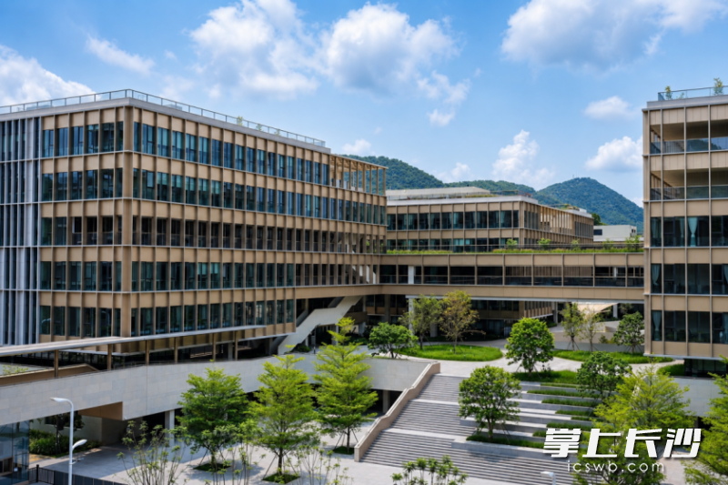 天津大学香港理工大学深圳未来技术学院所在的深圳大学城国际校区。均为学校供图