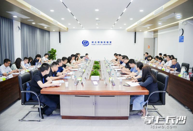在湖北珞珈实验室，企业代表围绕自身技术发展痛点，与教授专家、科研团队展开深度交流。