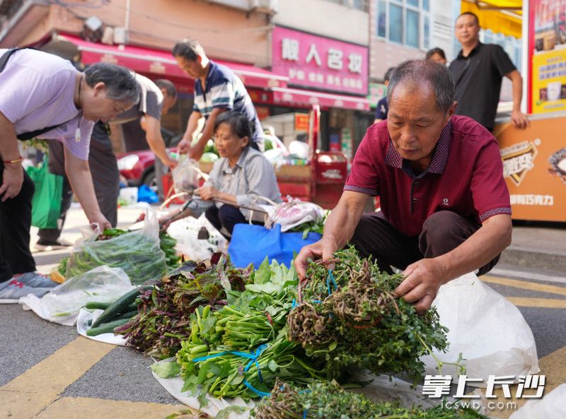 到达月亮岛街道新月集贸市场，曾建辉正在整理自己的蔬菜。