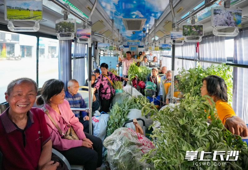 清晨6时40分，望城赶早进城的菜农，挑着刚刚采摘的蔬菜瓜果，搭乘W510“清风号”惠农公交专线，前往月亮岛街道新月集贸市场售卖。均为长沙晚报全媒体记者 邹麟 摄